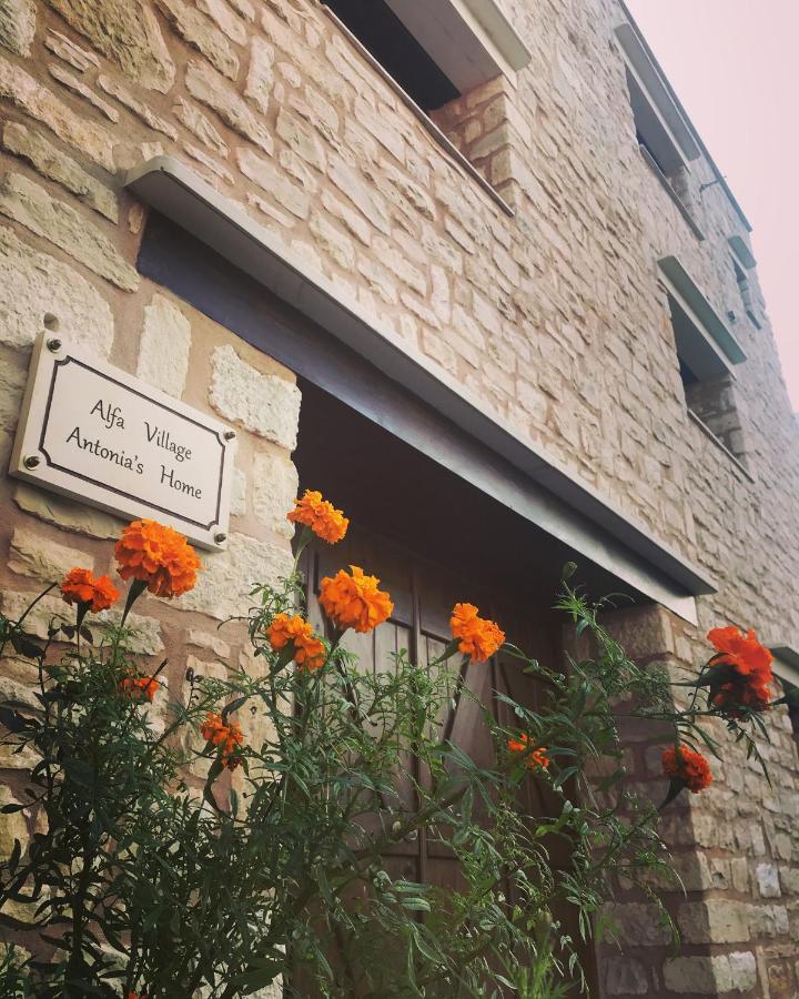 Antonia'S Home Alfa Village المظهر الخارجي الصورة